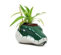Harry Potter Pots de Fleurs Serpentard Pot de Fleurs Harry Potter
