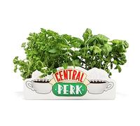 Half Moon Bay HMB Friends - Central Perk - Pot de Fleurs/Vase de Table