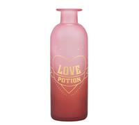 Half Moon Bay - Vase en Verre Harry Potter - 16 cm - Potion d'Amour - Bouteille de Potions - Décor