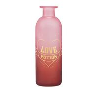 Half Moon Bay - Vase en Verre Harry Potter - 16 cm - Potion d'Amour - Bouteille de Potions - Décor