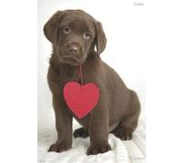 Hall in the wall - Poster Chiot Corby - En papier - 61 x 91.5 cm Multicolore G