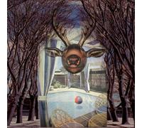 Hall of Fame - Paradise Now [Import]