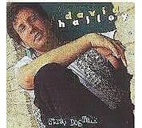 Halley,David - Stray Dog Talk [Import]