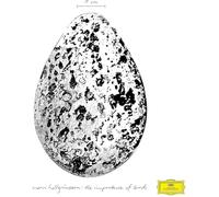 Hallgrimsson,Snorri - The Importance of Birds [Import]