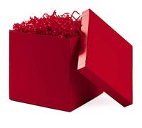 Hallmark Boîte Cadeau avec Couvercle Rouge 17,8 cm pour Noël, Anniversaire, fête des pères, fête prénuptiale, Mariage, fête prénatale, Saint-Valentin et Remise de diplôme