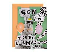 Hallmark Carte d'anniversaire 13e anniversaire pour fils Motif 3D