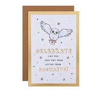 Hallmark Carte d'anniversaire Harry Potter Hedwige Hibou et Lettre