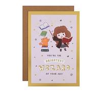 Hallmark Carte d'anniversaire - Harry Potter, motif Hermione avec activité puzzle