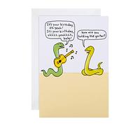 Hallmark Carte d'anniversaire humoristique Shoebox