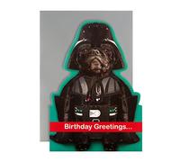 Hallmark Carte d'anniversaire - Motif Disney Star Wars