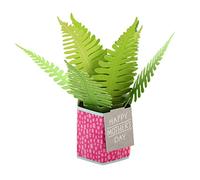 Hallmark Carte de fête des mères 3D et pop up avec mini carte, motif fougère, souvenir, pour maman, grand-mère, épouse, vert, rose