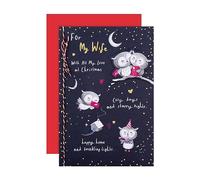 Hallmark Carte de Noël pour femme Motif chouettes