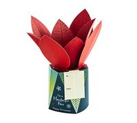 Hallmark Carte de Noël pour les deux - Design contemporain 3D en forme de plante