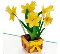 Hallmark Carte de Pâques 3D et pop up, bouquet de jonquilles, jaune, doré