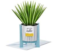 Hallmark Carte pop-up contemporaine motif araignée