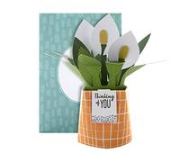 Hallmark Carte pop-up - Motif contemporain de fleurs de lys de la paix