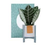 Hallmark Carte pop-up - Motif zèbre contemporain