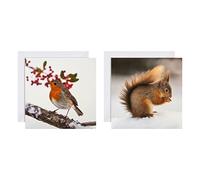 Hallmark Cartes de Noël - Lot de 16 en 2 designs National Geographic 25572278