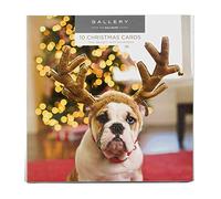 Hallmark Gallery Lot de 10 Cartes de Noël en 2 Motifs Chat et Chien