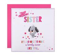Hallmark Grande carte d'anniversaire pour sœur - Motif 3D « Scruffles »