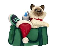 Hallmark Keepsake Christmas Ornament 2023, Mischievous Kittens, Cat Ornament, Pet Gifts