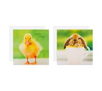 Hallmark Lot de 10 cartes de Pâques caritatives avec 2 motifs d'animaux mignons