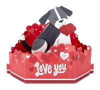 Hallmark Paper Wonder Carte de Saint-Valentin musicale et animée Motif chien 3D
