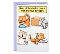 Hallmark Shoebox Carte d'anniversaire humoristique Motif chats Don't Care