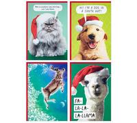 Hallmark Shoebox Cartes de Noël amusantes (24 cartes et 24 enveloppes) chien, chat, lama, renne