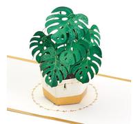Hallmark Signature Paper Wonder Carte d'encouragement Pop Up Thinking of You (Monstera)