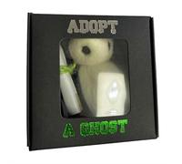 Halloween Adoptez un fantôme, personnalisez le petit fantôme de poche avec un petit parchemin, mini poupée fantôme effrayante en feutre, figurines d'animaux de compagnie pour les amateurs de