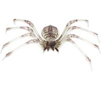 Halloween araignée squelette décoration horreur arachnide élément décoratif hanté ambiance fête décoration choc cimetière gothique tête de mort toiles bizarres, couleur : blanc