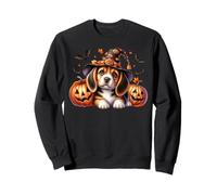 Halloween Beagle in Witch Hat with Jack O Lantern and Bats Sweatshirt