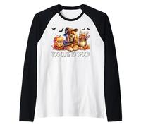 Halloween Cavalier King Charles Spaniel is Too Cute to Spook Manche Raglan