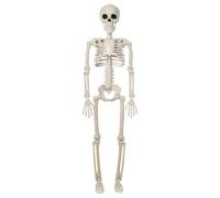 Halloween Decorations Skeleton Movable Joints - Full Body Bone Props