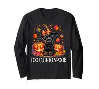 Halloween Schnauzer is Too Cute to Spook Spooky Pumpkin Face Manche Longue