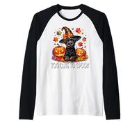Halloween Schnauzer is Too Cute to Spook Spooky Pumpkin Face Manche Raglan