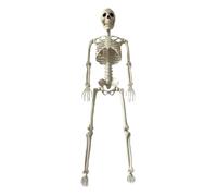 Halloween Skeleton Decoration - 90cm ABS Poseable Figure | Life Size Horror