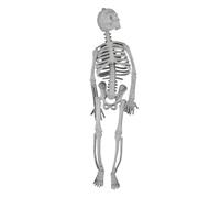 Halloween Skeleton Glow In The Dark - Matériaux De Qualité Squelette Lumineux Décorationis D'Halloween Figurine, Pour Les Fêtes Suspendues Ornements De Maison Hantés