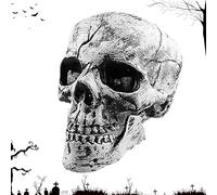 Halloween Skeleton Hands Stakes - Realistic Skull & Skeleton Yard Decorati | Realistic Skull & Skeleton Hand Design, ABS Construction, Flexible Outdoor Ground Stakes, Spooky Halloween Party Dis