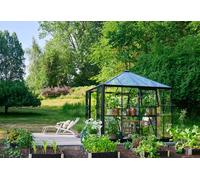 Halls Serre de jardin carrée 6,3 m² aluminium noir verre trempé - Qube Square - F09970