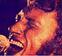 Hallyday, Johnny - Palais des..71 Nouv.Vers.
