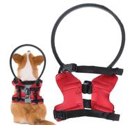 Halo de guidage aveugle - Pare-chocs de sécurité réglable et léger | Anneau de soutien anti-collision, collier confortable pour renforcer la confiance en soi pour les animaux de compagnie