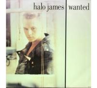 HALO JAMES - WANTED 12 INCH (12" SINGLE) UK EPIC 1989
