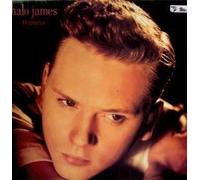 HALO JAMES - WITNESS LP (VINYL ALBUM) UK EPIC 1990