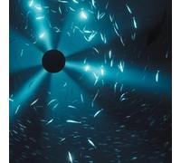 Halo, Laurel - Midnight Zone