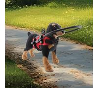 Halo pour chiens aveugles : collier de protection avec anneau de pare-chocs, dispositif de sécurité pour animaux malvoyants, aide réglable pour la perte de vision | Marcher en plein air G