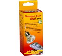 Halogen Sun Mini (x2) - Lampe