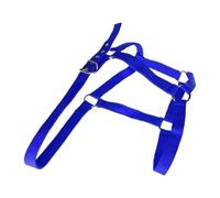 Halter for Horses - Adjustable Training Leading Equestrian Harness
