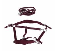 Halter Halter Set réglable Soft Reft Forming Confortable Ralier avec Laisse de 2m pour la Marche Quotidienne et l'entraînement à Cheval Alloy en Polyester (Rouge)